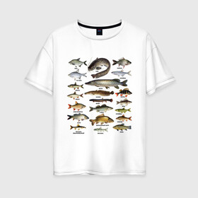Женская футболка хлопок Oversize с принтом Популярные виды рыб в Белгороде, 100% хлопок | свободный крой, круглый ворот, спущенный рукав, длина до линии бедер
 | Тематика изображения на принте: рыба | рыбалка | рыбачить | туризм | туристические | туристу | улов