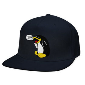 Кепка снепбек с прямым козырьком с принтом Пингвин: Linux в Белгороде, хлопок 100% |  | пингвин