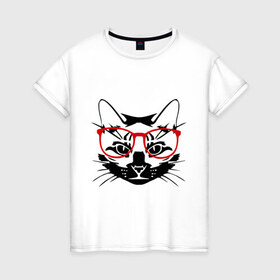Женская футболка хлопок с принтом Котэ в Белгороде, 100% хлопок | прямой крой, круглый вырез горловины, длина до линии бедер, слегка спущенное плечо | домашний животные | животные | котэ | кошка в очках | кошки