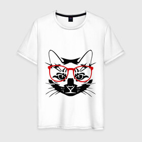 Мужская футболка хлопок с принтом Котэ в Белгороде, 100% хлопок | прямой крой, круглый вырез горловины, длина до линии бедер, слегка спущенное плечо. | домашний животные | животные | котэ | кошка в очках | кошки