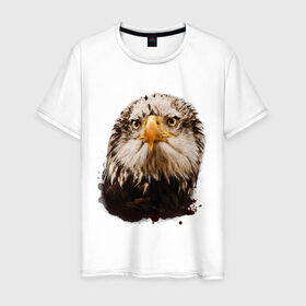 Мужская футболка хлопок с принтом Орел в Белгороде, 100% хлопок | прямой крой, круглый вырез горловины, длина до линии бедер, слегка спущенное плечо. | голова | голова орла | кавказ | кавказец | орёл | птица | птичка