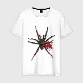 Мужская футболка хлопок с принтом Паук в Белгороде, 100% хлопок | прямой крой, круглый вырез горловины, длина до линии бедер, слегка спущенное плечо. | кровь | птицеед | тарантул