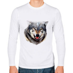 Мужской лонгслив хлопок с принтом Волк в Белгороде, 100% хлопок |  | animals | mountain | wolf | волк | животные | прикольные картинки