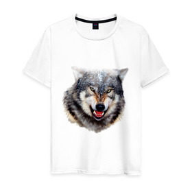 Мужская футболка хлопок с принтом Волк в Белгороде, 100% хлопок | прямой крой, круглый вырез горловины, длина до линии бедер, слегка спущенное плечо. | animals | mountain | wolf | волк | животные | прикольные картинки