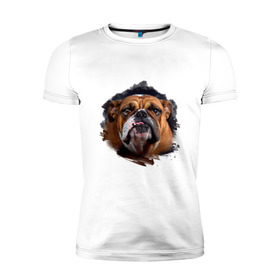 Мужская футболка премиум с принтом Бульдог в Белгороде, 92% хлопок, 8% лайкра | приталенный силуэт, круглый вырез ворота, длина до линии бедра, короткий рукав | animals | dog | mountain | бульдог | животные | прикольные картинки | собака