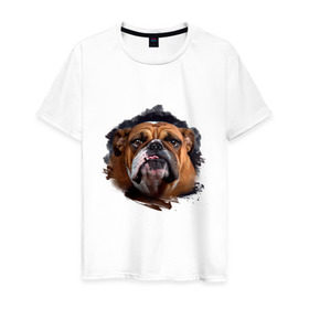 Мужская футболка хлопок с принтом Бульдог в Белгороде, 100% хлопок | прямой крой, круглый вырез горловины, длина до линии бедер, слегка спущенное плечо. | animals | dog | mountain | бульдог | животные | прикольные картинки | собака