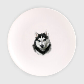 Тарелка 3D с принтом Хаски в Белгороде, фарфор | диаметр - 210 мм
диаметр для нанесения принта - 120 мм | animals | dog | mountain | животные | прикольные картинки | собака | хаски