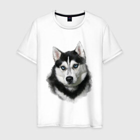 Мужская футболка хлопок с принтом Хаски в Белгороде, 100% хлопок | прямой крой, круглый вырез горловины, длина до линии бедер, слегка спущенное плечо. | animals | dog | mountain | животные | прикольные картинки | собака | хаски