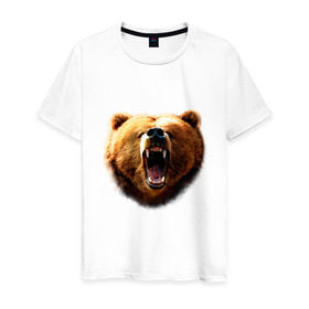 Мужская футболка хлопок с принтом Медведь в Белгороде, 100% хлопок | прямой крой, круглый вырез горловины, длина до линии бедер, слегка спущенное плечо. | animals | bear | mountain | животные | медведь | прикольные картинки