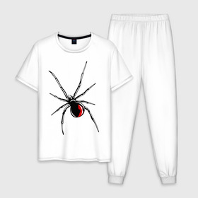 Мужская пижама хлопок с принтом Черная вдова в Белгороде, 100% хлопок | брюки и футболка прямого кроя, без карманов, на брюках мягкая резинка на поясе и по низу штанин
 | паук | тарантул | черная вдова | черная вдованасекомые