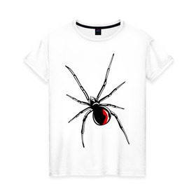 Женская футболка хлопок с принтом Черная вдова в Белгороде, 100% хлопок | прямой крой, круглый вырез горловины, длина до линии бедер, слегка спущенное плечо | паук | тарантул | черная вдова | черная вдованасекомые