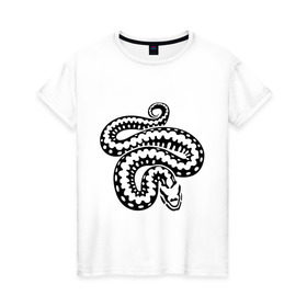 Женская футболка хлопок с принтом Силуэт змеи в Белгороде, 100% хлопок | прямой крой, круглый вырез горловины, длина до линии бедер, слегка спущенное плечо | животные | змеиная кожа | змея | прикольные картинки | силуэт змеи