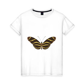 Женская футболка хлопок с принтом Экзотическая бабочка в Белгороде, 100% хлопок | прямой крой, круглый вырез горловины, длина до линии бедер, слегка спущенное плечо | 
