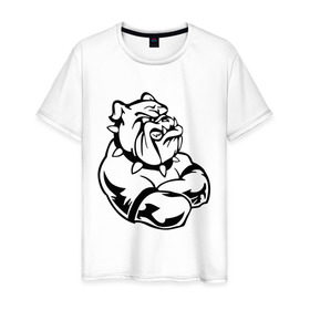 Мужская футболка хлопок с принтом Бульдог в Белгороде, 100% хлопок | прямой крой, круглый вырез горловины, длина до линии бедер, слегка спущенное плечо. | бульдог | пес | силовой спор | собака | спорт