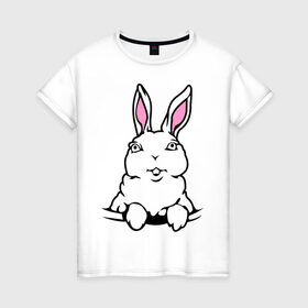 Женская футболка хлопок с принтом Зайчик в кармашке в Белгороде, 100% хлопок | прямой крой, круглый вырез горловины, длина до линии бедер, слегка спущенное плечо | белый кролик | животные | зайка | зайчик в кармашке | кролик