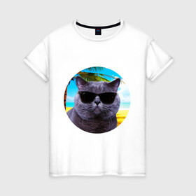 Женская футболка хлопок с принтом Котэ на пляже в Белгороде, 100% хлопок | прямой крой, круглый вырез горловины, длина до линии бедер, слегка спущенное плечо | кот | котэ | лето | мем | очки | пальма | пляж | солнце