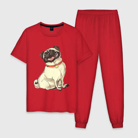 Мужская пижама хлопок с принтом Радостный мопс в Белгороде, 100% хлопок | брюки и футболка прямого кроя, без карманов, на брюках мягкая резинка на поясе и по низу штанин
 | Тематика изображения на принте: милый | мопс | пес | радостная | собака