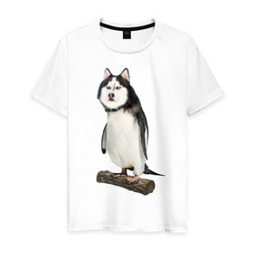 Мужская футболка хлопок с принтом Хаскогвин в Белгороде, 100% хлопок | прямой крой, круглый вырез горловины, длина до линии бедер, слегка спущенное плечо. | пингвин