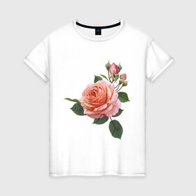 Женская футболка хлопок с принтом Розовая роза в Белгороде, 100% хлопок | прямой крой, круглый вырез горловины, длина до линии бедер, слегка спущенное плечо | девушкам | розовая роза | цветок