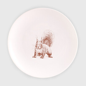 Тарелка с принтом Самая милая белочка в Белгороде, фарфор | диаметр - 210 мм
диаметр для нанесения принта - 120 мм | белка | зверек | милый | пушистик