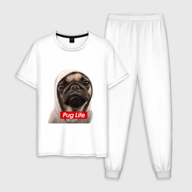Мужская пижама хлопок с принтом Pug life в Белгороде, 100% хлопок | брюки и футболка прямого кроя, без карманов, на брюках мягкая резинка на поясе и по низу штанин
 | Тематика изображения на принте: pug life | жизнь | капюшон | мопс | собака