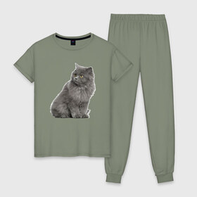 Женская пижама хлопок с принтом Кот в Белгороде, 100% хлопок | брюки и футболка прямого кроя, без карманов, на брюках мягкая резинка на поясе и по низу штанин | kisa | kotik | кот | котенок | кошка