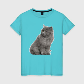 Женская футболка хлопок с принтом Кот в Белгороде, 100% хлопок | прямой крой, круглый вырез горловины, длина до линии бедер, слегка спущенное плечо | kisa | kotik | кот | котенок | кошка