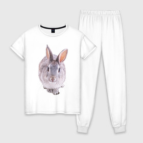 Женская пижама хлопок с принтом Кролик в Белгороде, 100% хлопок | брюки и футболка прямого кроя, без карманов, на брюках мягкая резинка на поясе и по низу штанин | заяц | кролик | крольчёнок | крольчишка