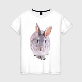Женская футболка хлопок с принтом Кролик в Белгороде, 100% хлопок | прямой крой, круглый вырез горловины, длина до линии бедер, слегка спущенное плечо | заяц | кролик | крольчёнок | крольчишка