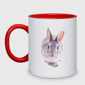 Кружка двухцветная с принтом Кролик в Белгороде, керамика | объем — 330 мл, диаметр — 80 мм. Цветная ручка и кайма сверху, в некоторых цветах — вся внутренняя часть | заяц | кролик | крольчёнок | крольчишка
