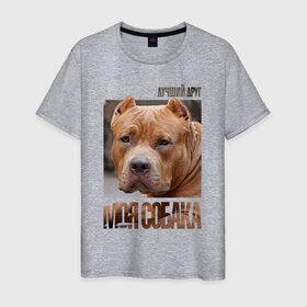 Мужская футболка хлопок с принтом Американский булли в Белгороде, 100% хлопок | прямой крой, круглый вырез горловины, длина до линии бедер, слегка спущенное плечо. | drug | американский булли | порода | собака