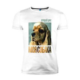 Мужская футболка премиум с принтом Американский кокер-спаниель в Белгороде, 92% хлопок, 8% лайкра | приталенный силуэт, круглый вырез ворота, длина до линии бедра, короткий рукав | американский кокер спаниель | лучши | порода | собака