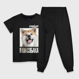 Детская пижама хлопок с принтом Акита ину в Белгороде, 100% хлопок |  брюки и футболка прямого кроя, без карманов, на брюках мягкая резинка на поясе и по низу штанин
 | Тематика изображения на принте: drug | акита ину | порода | собака