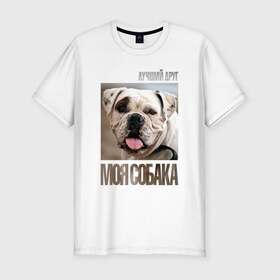 Мужская футболка премиум с принтом Американский бульдог в Белгороде, 92% хлопок, 8% лайкра | приталенный силуэт, круглый вырез ворота, длина до линии бедра, короткий рукав | drug | американский бульдог | порода | собака