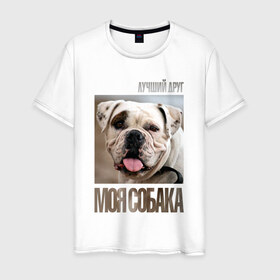 Мужская футболка хлопок с принтом Американский бульдог в Белгороде, 100% хлопок | прямой крой, круглый вырез горловины, длина до линии бедер, слегка спущенное плечо. | drug | американский бульдог | порода | собака