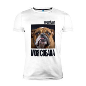 Мужская футболка премиум с принтом Английский бульдог в Белгороде, 92% хлопок, 8% лайкра | приталенный силуэт, круглый вырез ворота, длина до линии бедра, короткий рукав | drug | английский бульдог | порода | собака