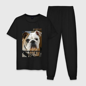 Мужская пижама хлопок с принтом Английский бульдог в Белгороде, 100% хлопок | брюки и футболка прямого кроя, без карманов, на брюках мягкая резинка на поясе и по низу штанин
 | Тематика изображения на принте: drug | английский бульдог | порода | собака