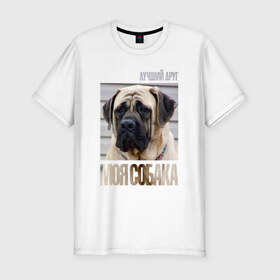 Мужская футболка премиум с принтом Английский мастиф в Белгороде, 92% хлопок, 8% лайкра | приталенный силуэт, круглый вырез ворота, длина до линии бедра, короткий рукав | drug | английский мастиф | порода | собака