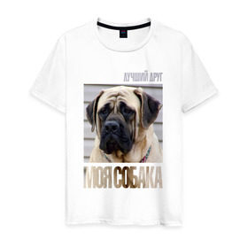 Мужская футболка хлопок с принтом Английский мастиф в Белгороде, 100% хлопок | прямой крой, круглый вырез горловины, длина до линии бедер, слегка спущенное плечо. | drug | английский мастиф | порода | собака
