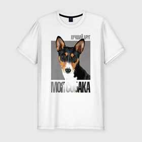 Мужская футболка премиум с принтом Басенджи в Белгороде, 92% хлопок, 8% лайкра | приталенный силуэт, круглый вырез ворота, длина до линии бедра, короткий рукав | drug | басенджи | порода | собака