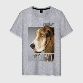 Мужская футболка хлопок с принтом Бассет-хаунд в Белгороде, 100% хлопок | прямой крой, круглый вырез горловины, длина до линии бедер, слегка спущенное плечо. | drug | бассет хаунд | порода | собака