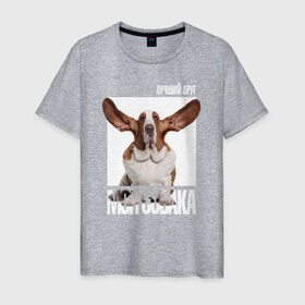 Мужская футболка хлопок с принтом Бассет-хаунд в Белгороде, 100% хлопок | прямой крой, круглый вырез горловины, длина до линии бедер, слегка спущенное плечо. | drug | бассет хаунд | порода | собака