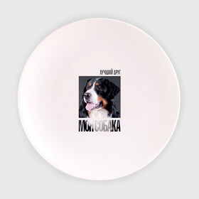 Тарелка с принтом Бернский зенненхунд в Белгороде, фарфор | диаметр - 210 мм
диаметр для нанесения принта - 120 мм | Тематика изображения на принте: drug | бернский зенненхунд | порода | собака