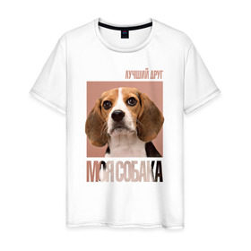 Мужская футболка хлопок с принтом Бигль в Белгороде, 100% хлопок | прямой крой, круглый вырез горловины, длина до линии бедер, слегка спущенное плечо. | drug | бигль | порода | собака