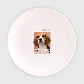 Тарелка 3D с принтом Бигль в Белгороде, фарфор | диаметр - 210 мм
диаметр для нанесения принта - 120 мм | drug | бигль | порода | собака