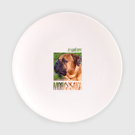 Тарелка с принтом Бульмастиф в Белгороде, фарфор | диаметр - 210 мм
диаметр для нанесения принта - 120 мм | drug | бульмастиф | порода | собака