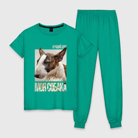 Женская пижама хлопок с принтом Бультерьер в Белгороде, 100% хлопок | брюки и футболка прямого кроя, без карманов, на брюках мягкая резинка на поясе и по низу штанин | drug | порода | собака