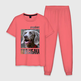 Мужская пижама хлопок с принтом Веймаранер в Белгороде, 100% хлопок | брюки и футболка прямого кроя, без карманов, на брюках мягкая резинка на поясе и по низу штанин
 | Тематика изображения на принте: drug | веймаранер | порода | собака