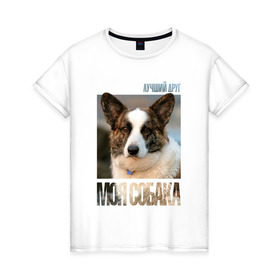 Женская футболка хлопок с принтом Вельш-корги-кардиган в Белгороде, 100% хлопок | прямой крой, круглый вырез горловины, длина до линии бедер, слегка спущенное плечо | drug | вельш корги кардиган | порода | собака