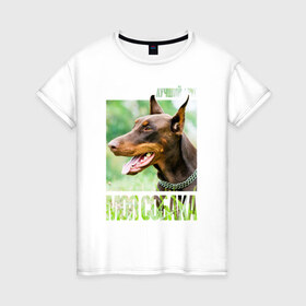 Женская футболка хлопок с принтом Доберман в Белгороде, 100% хлопок | прямой крой, круглый вырез горловины, длина до линии бедер, слегка спущенное плечо | drug | доберман | порода | собака